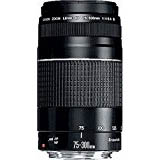 Canon EF 75-300mm F4.0-5.6 III