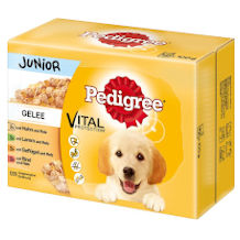 Pedigree Junior