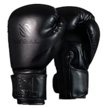 Sanabul gants de boxe