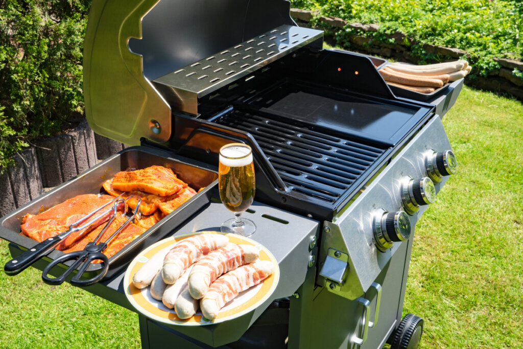 barbecue a gaz jardin taille format