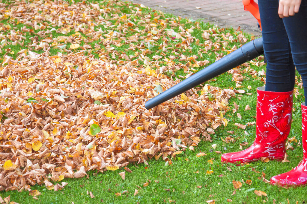 Femme avec souffleur de feuilles dans le jardin