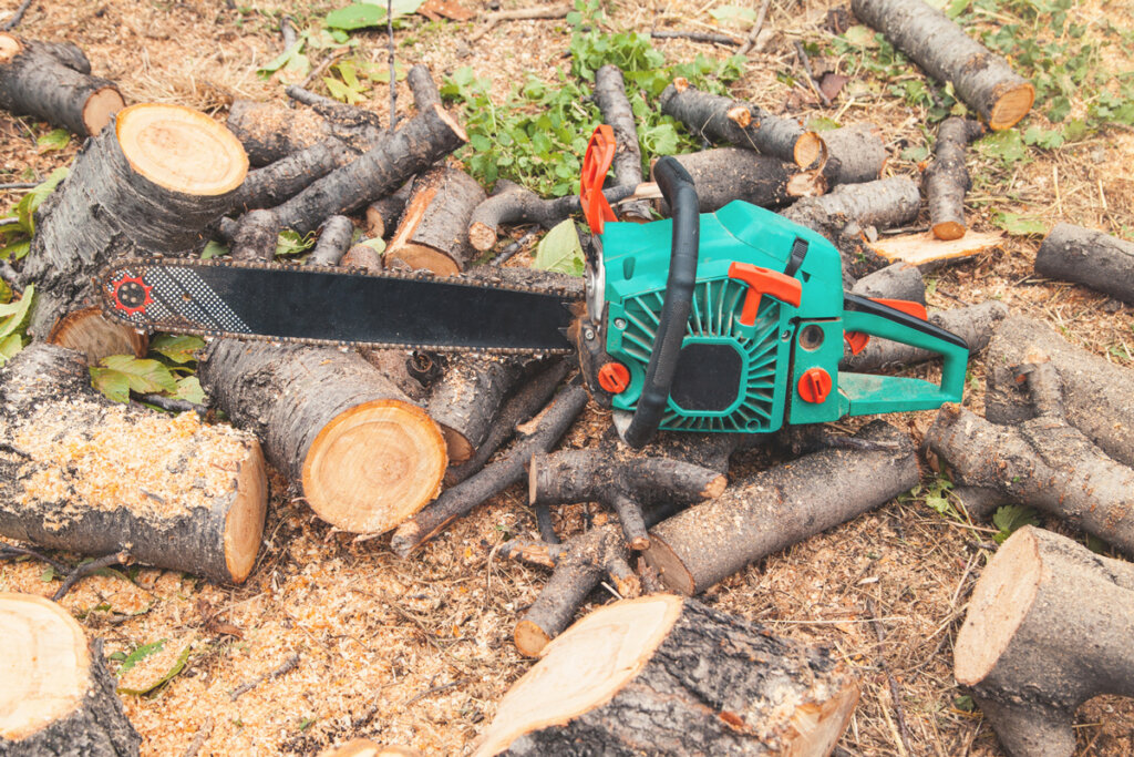 tronçonneuse à essence entre les bois sciés