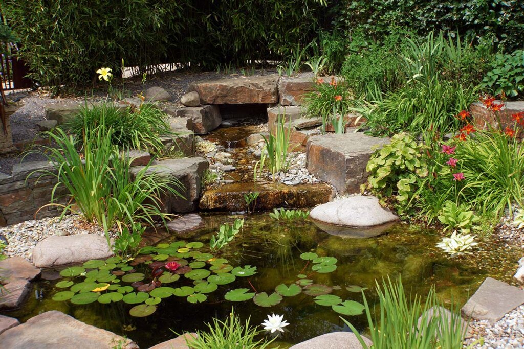 Bassin de jardin avec petite chute d'eau