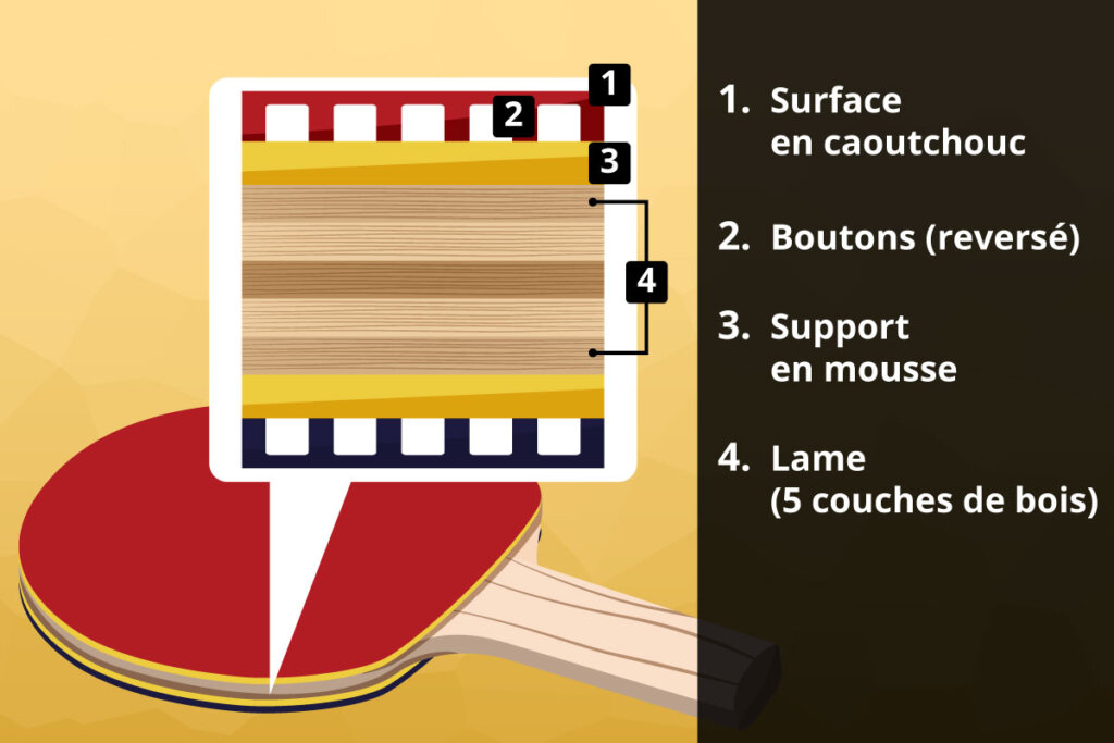 dissection_des_couches_des_bois_mousse_et_caoutchouc