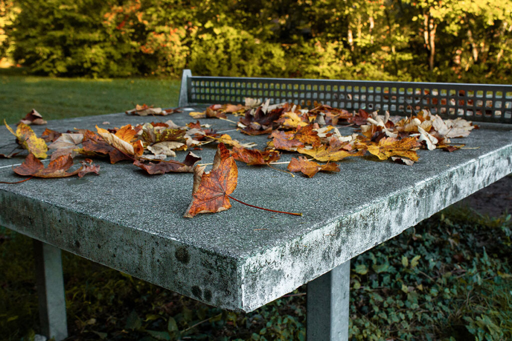 Table de ping-pong en pierre en automne avec des feuilles mortes